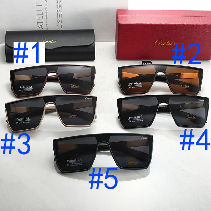 146RK17T Popular Sunglasses