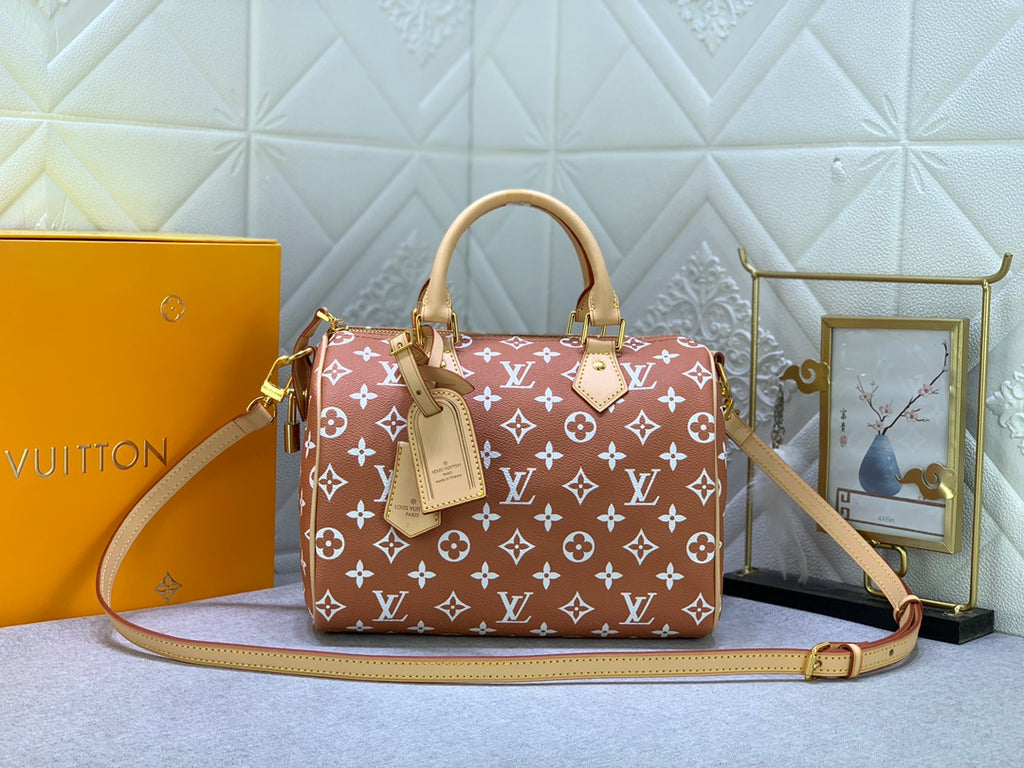 2XE268B Popular  leather bag 