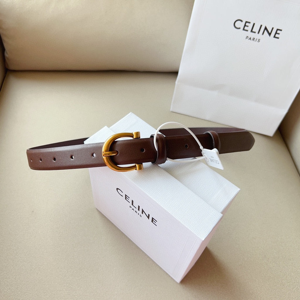 1WN178P Popular High quality belt With full package