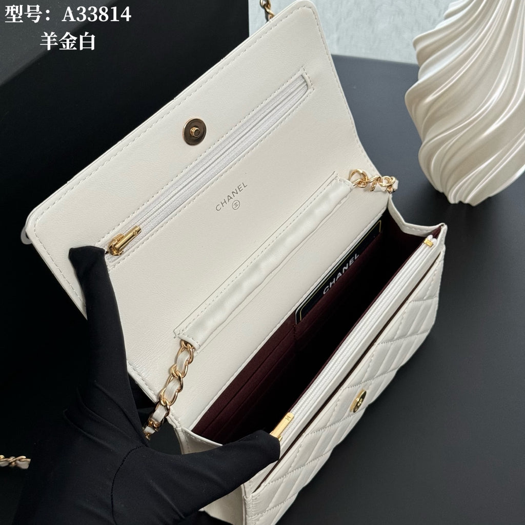 B1X66C17 Popular leather bag