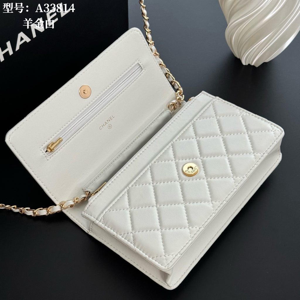 B1X66C17 Popular leather bag