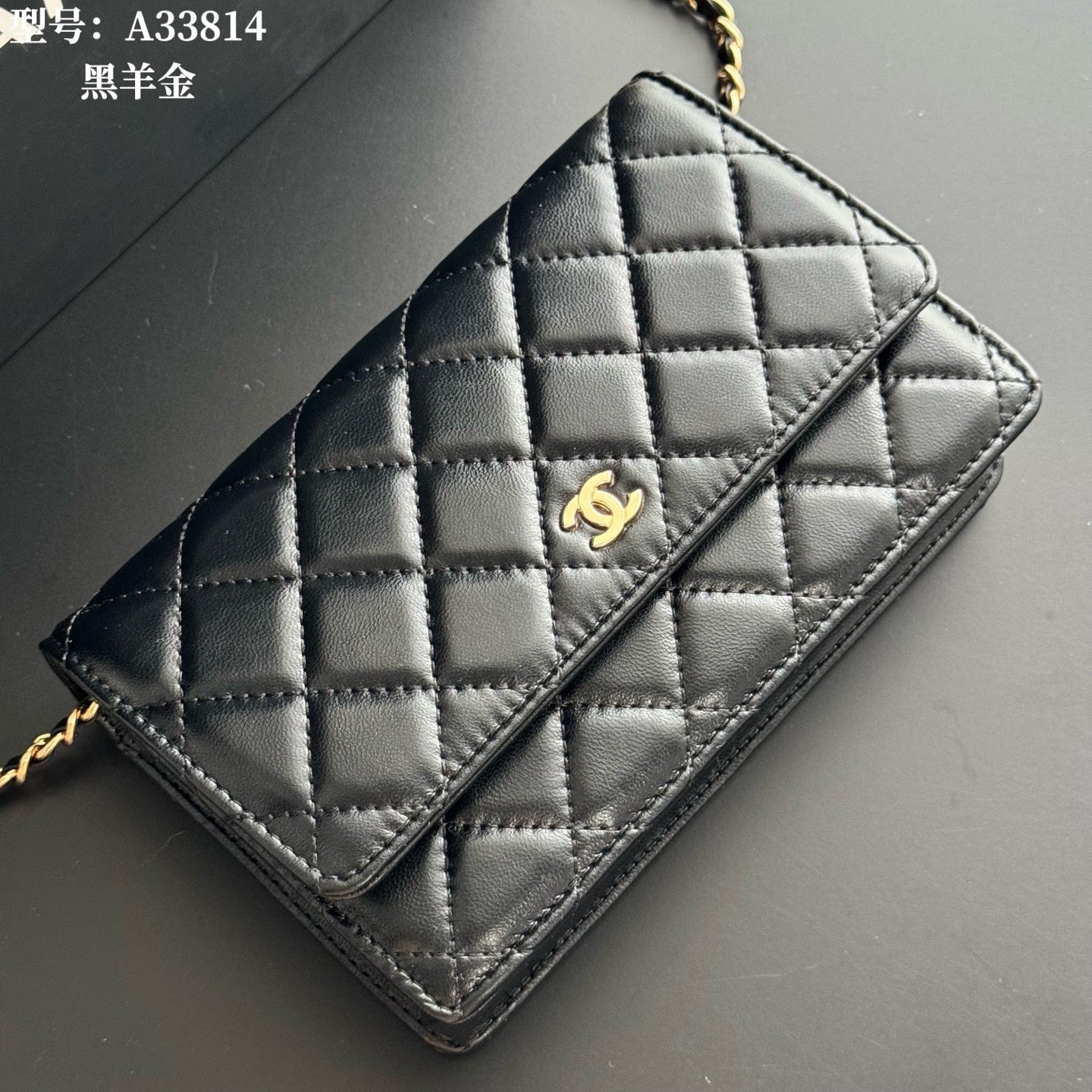 B1X66C17 Popular leather bag