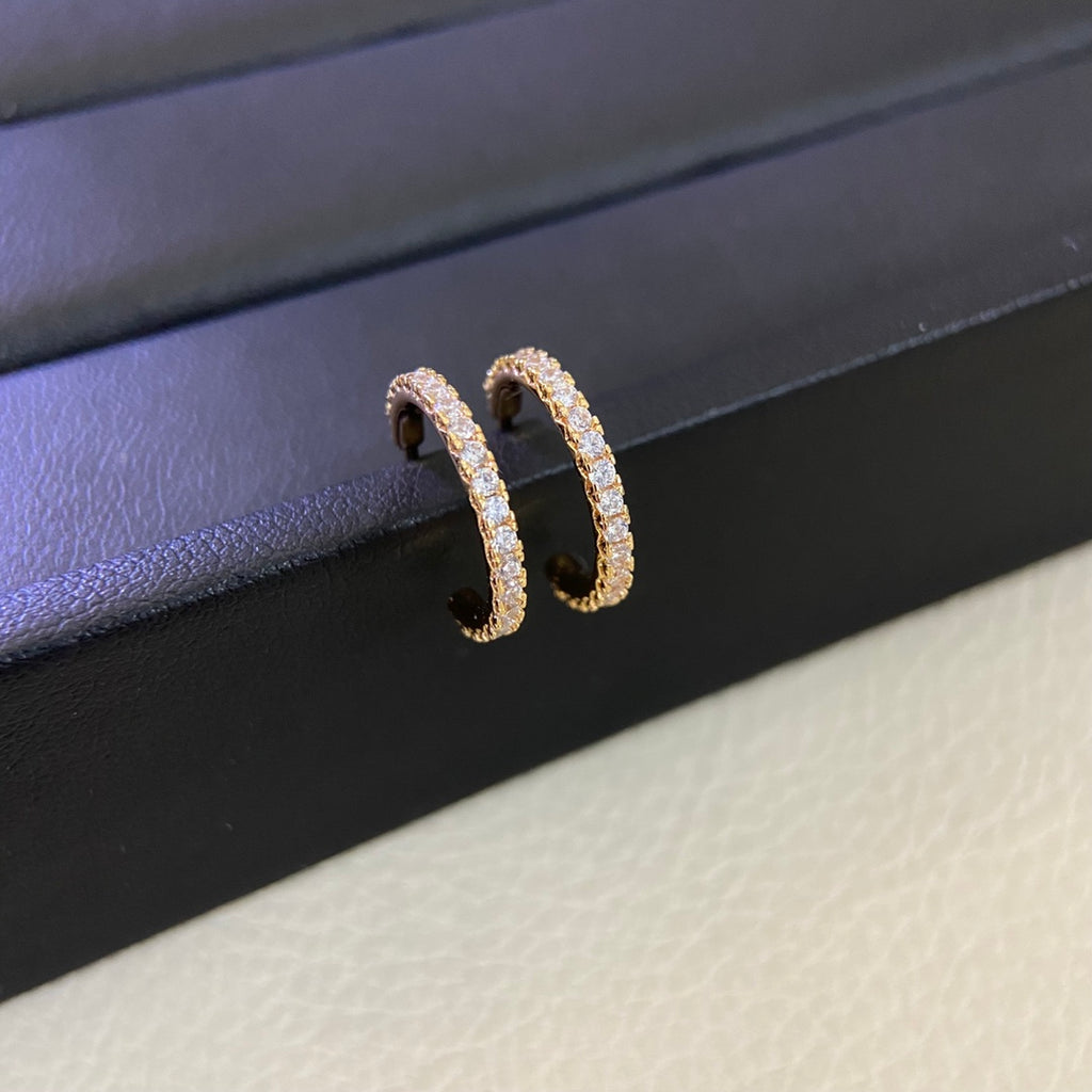 55ZT10E Popular Earrings