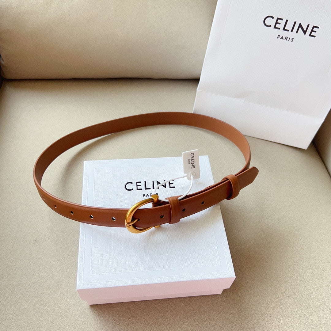 1WN178P Popular High quality belt With full package