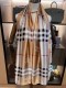 155NR67W Popular Silk Scarve