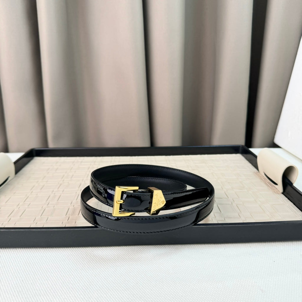 14PD29P  Popular    High quality belt With full package