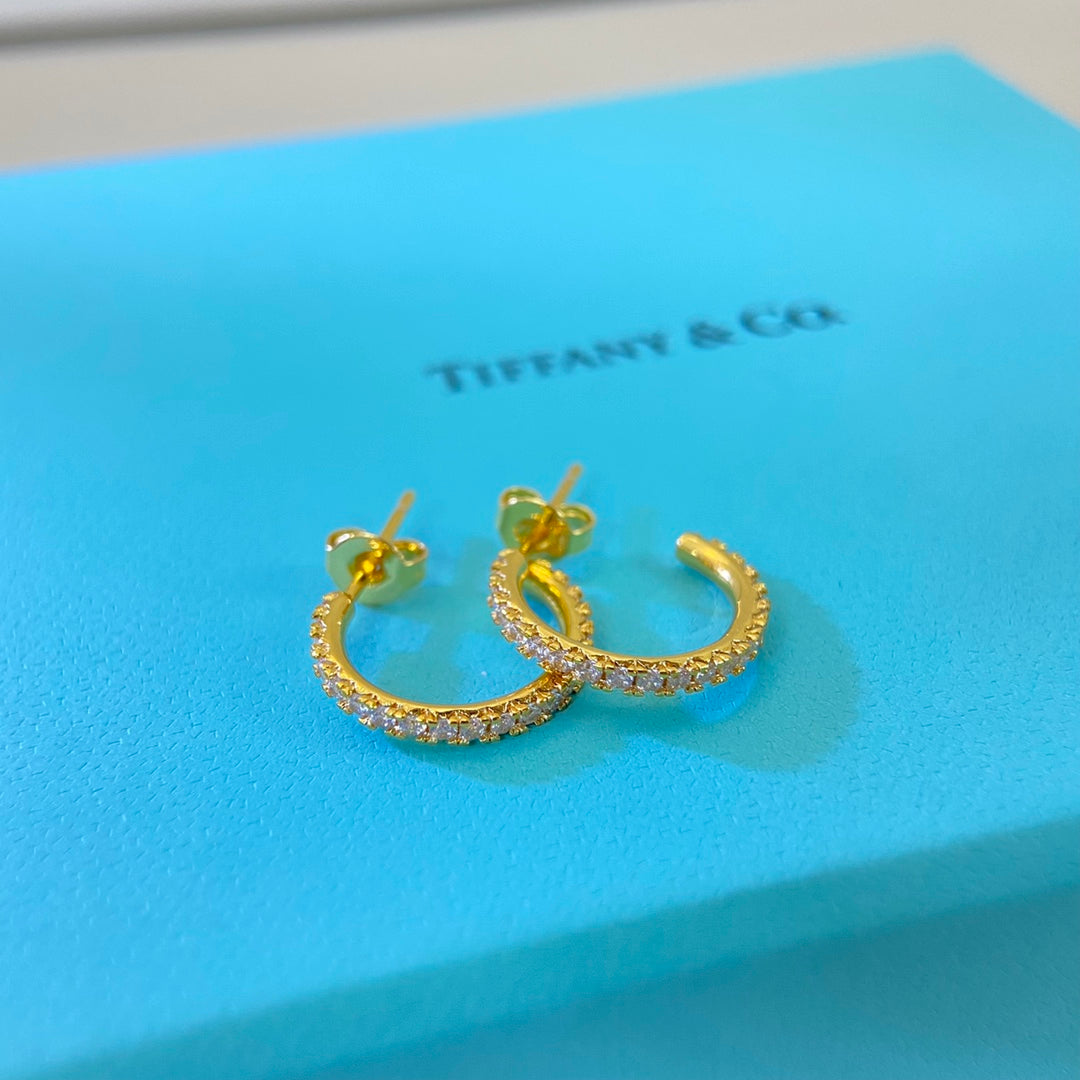 55ZT10E Popular Earrings