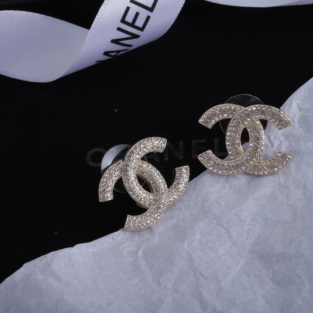 14C324E Popular  Earrings