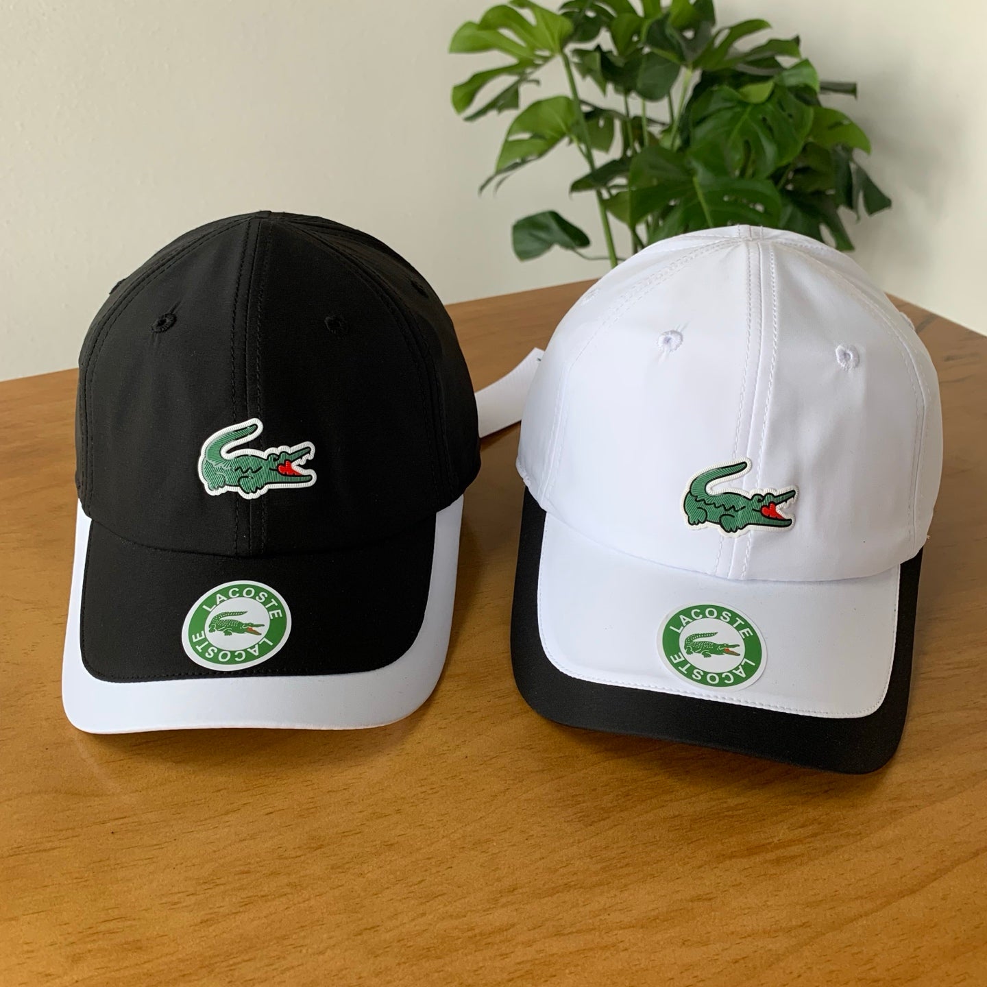 145ZA539M Popular hats