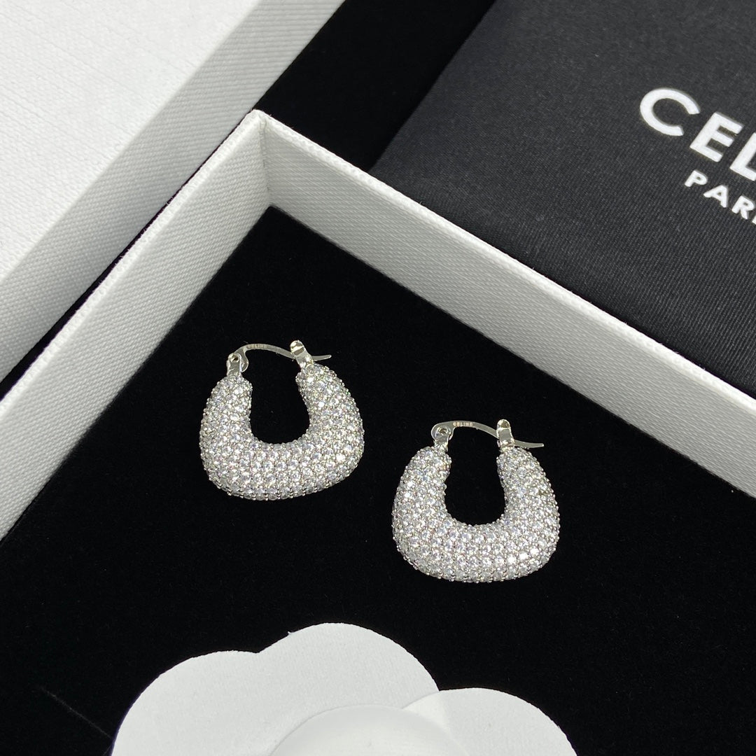 14CL245E Popular  Earrings