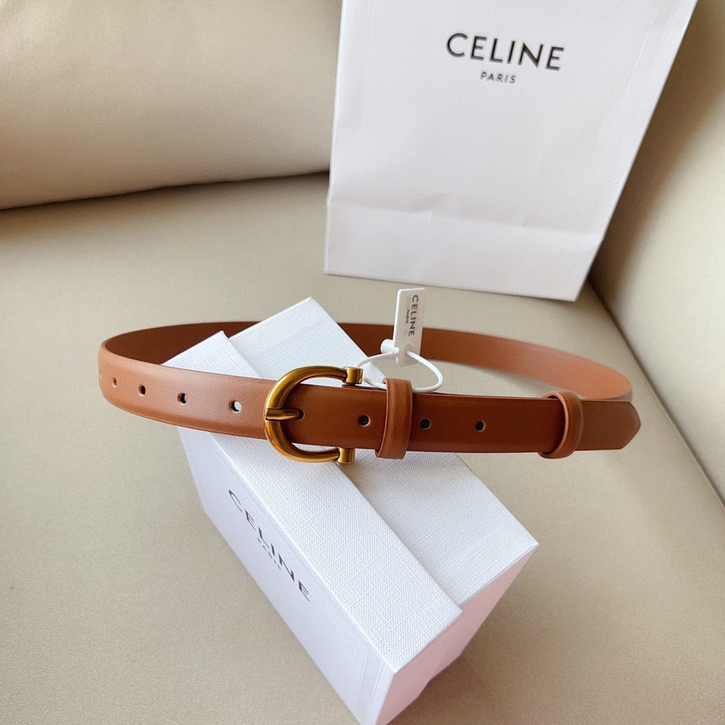 1WN178P Popular High quality belt With full package