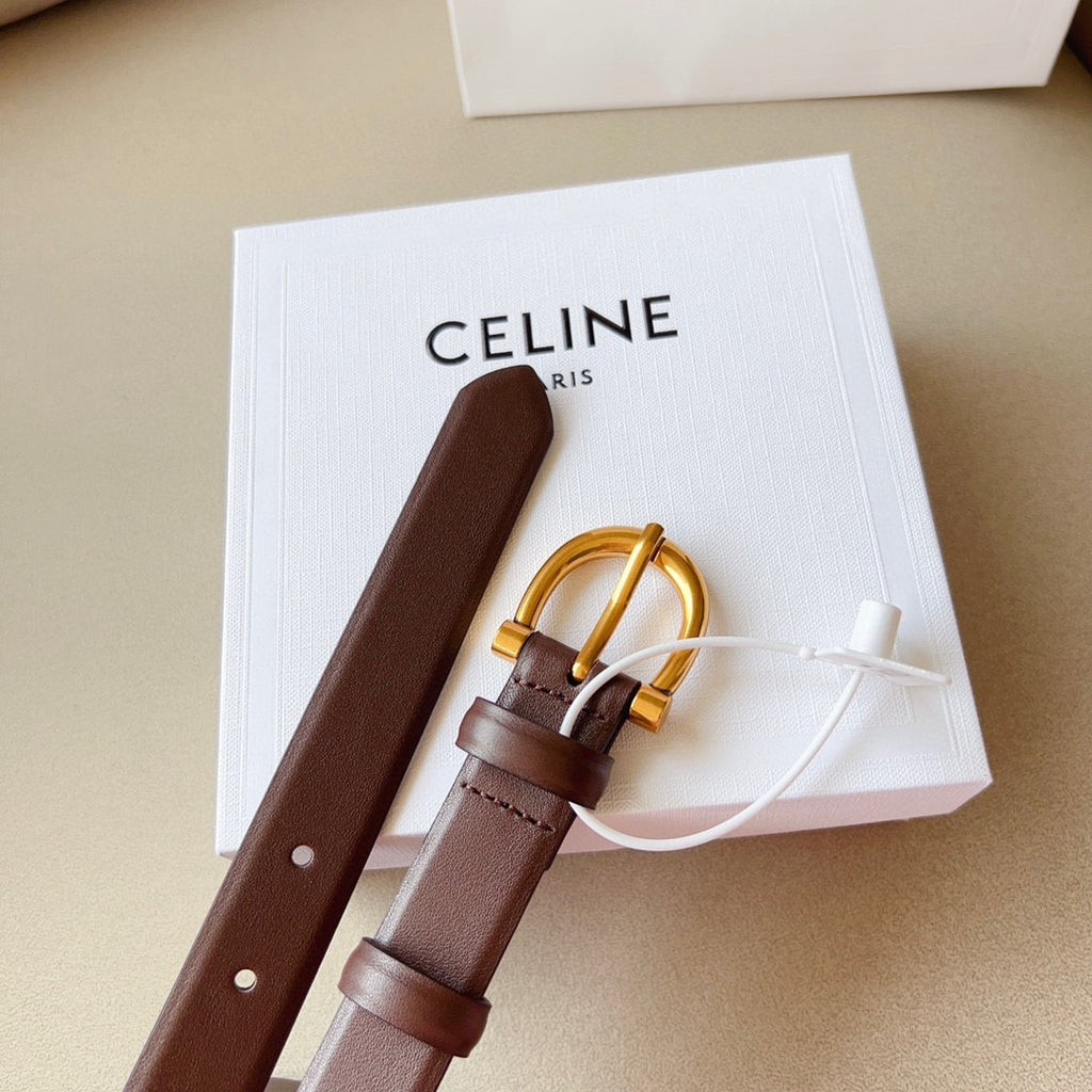 1WN178P Popular High quality belt With full package