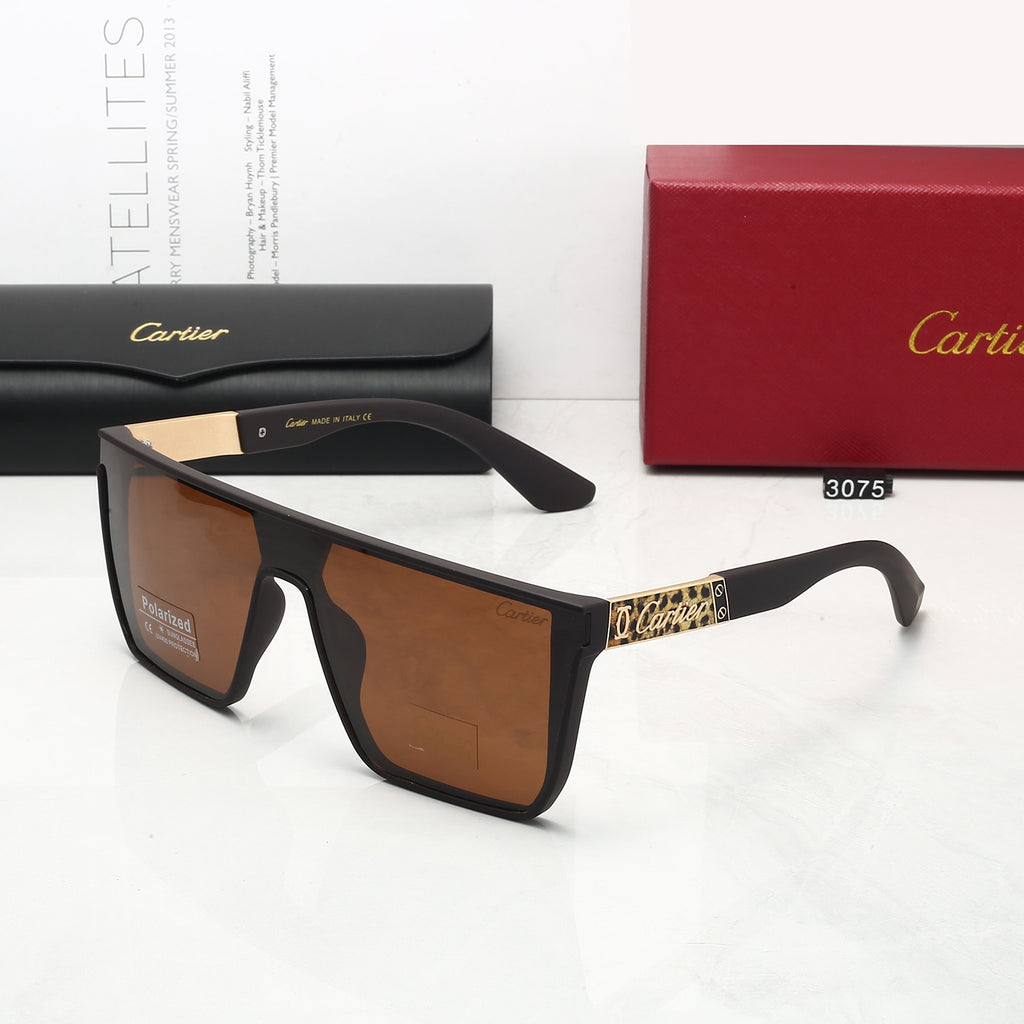 146RK17T Popular Sunglasses