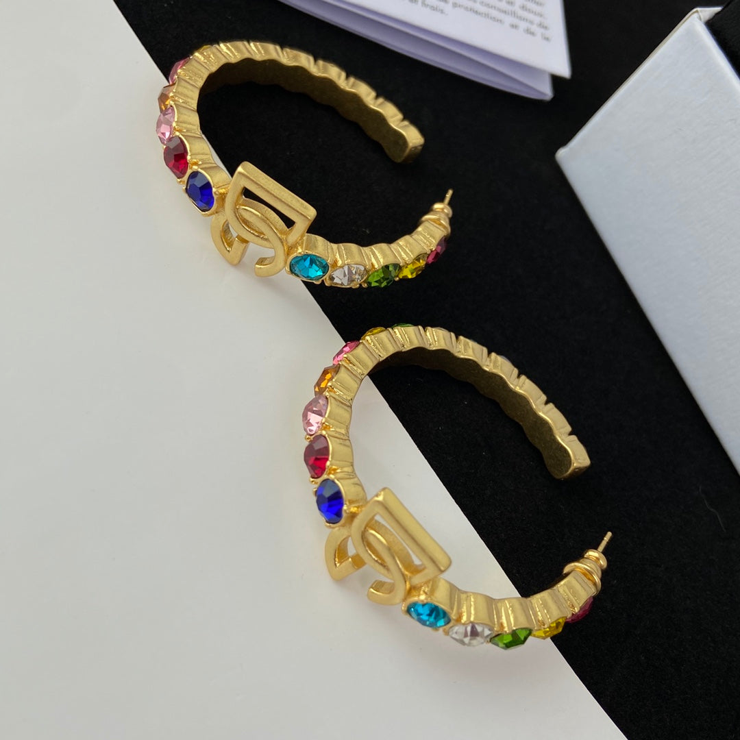 1NA139E Popular  Earrings