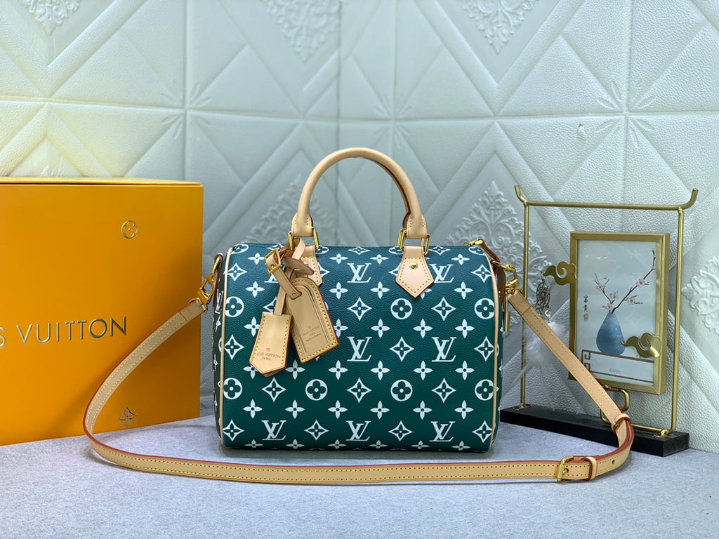 2XE268B Popular  leather bag 