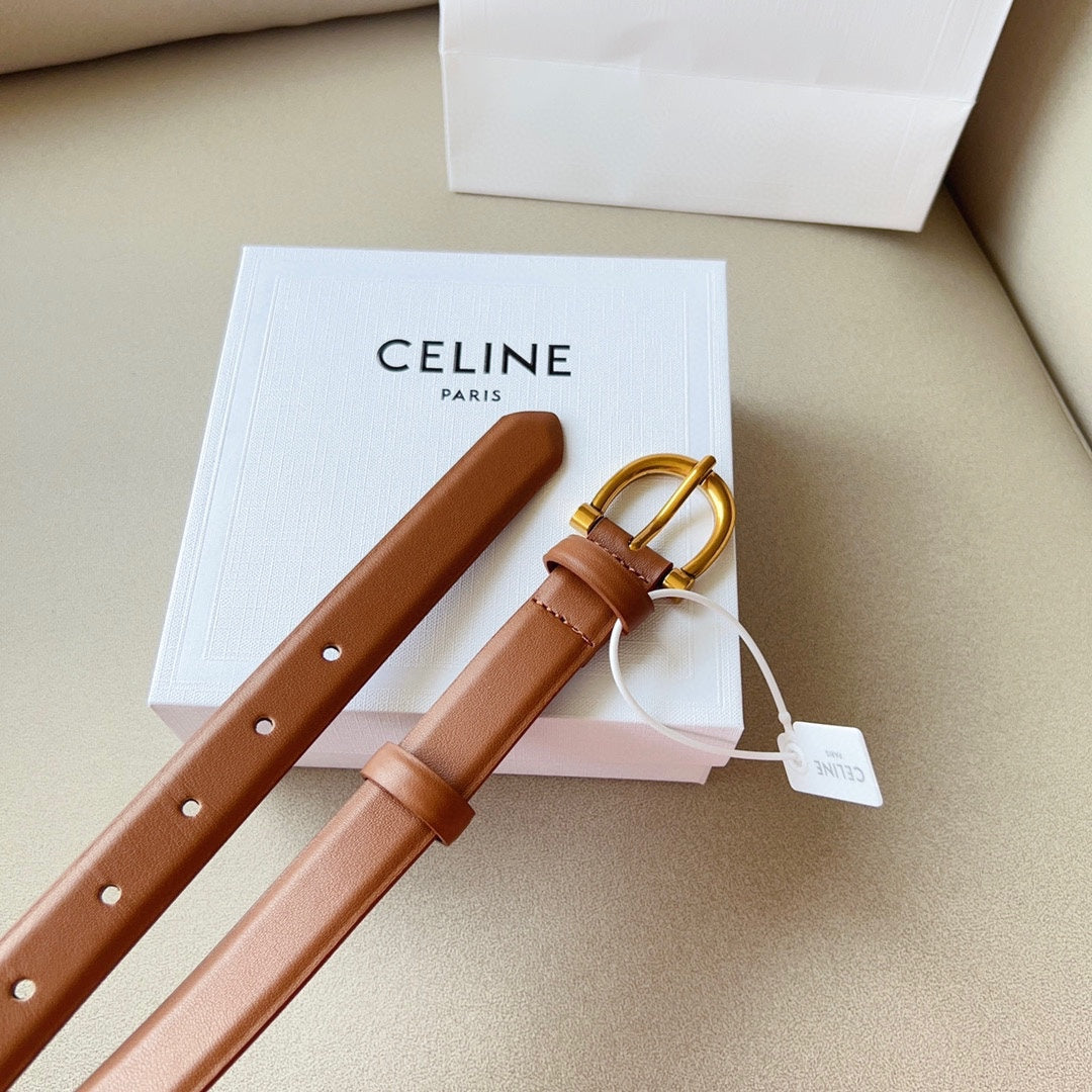 1WN178P Popular High quality belt With full package