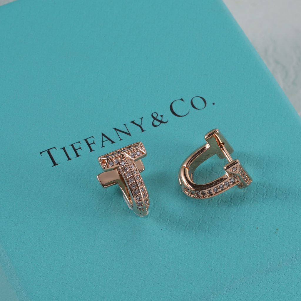 15NT2E  Popular Earrings