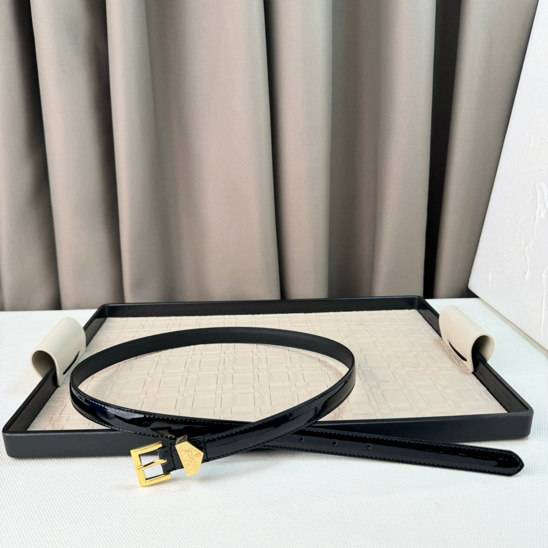 14PD29P  Popular    High quality belt With full package