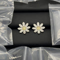 15ZA39E Popular Earrings