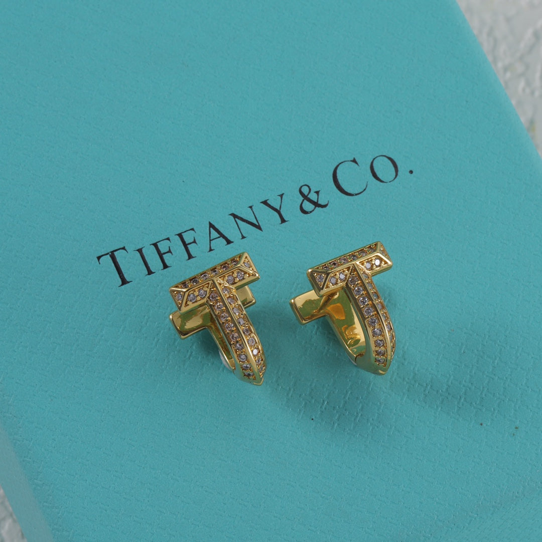 15NT2E  Popular Earrings