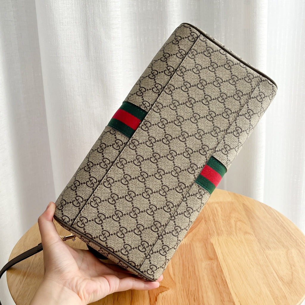 1WB60B Popular  leather bag