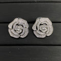 14C620E Popular  Earrings