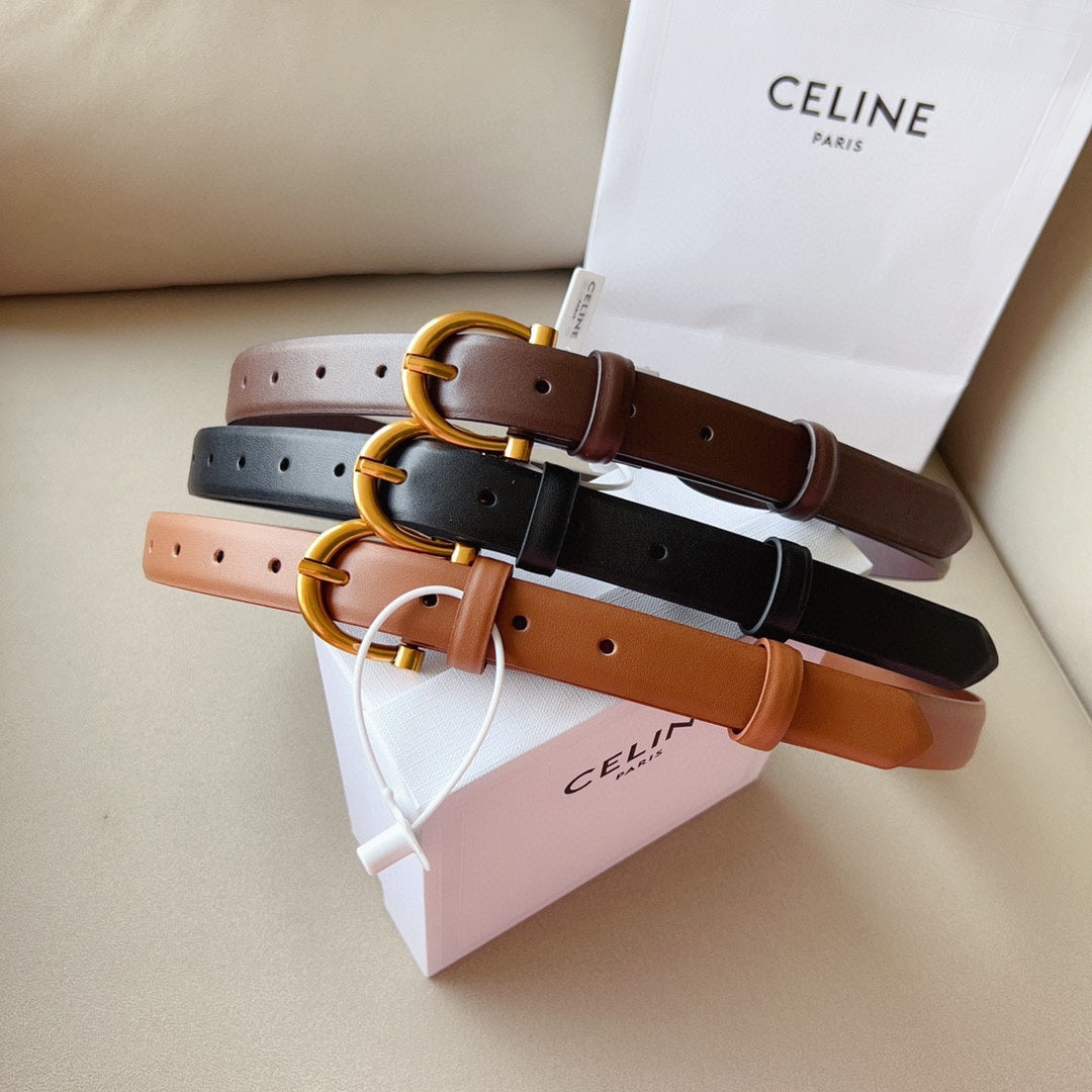 1WN178P Popular High quality belt With full package