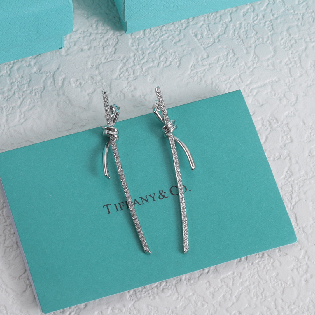 14T295E Popular  Earrings