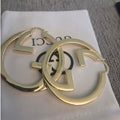 175NB3E Popular Earrings