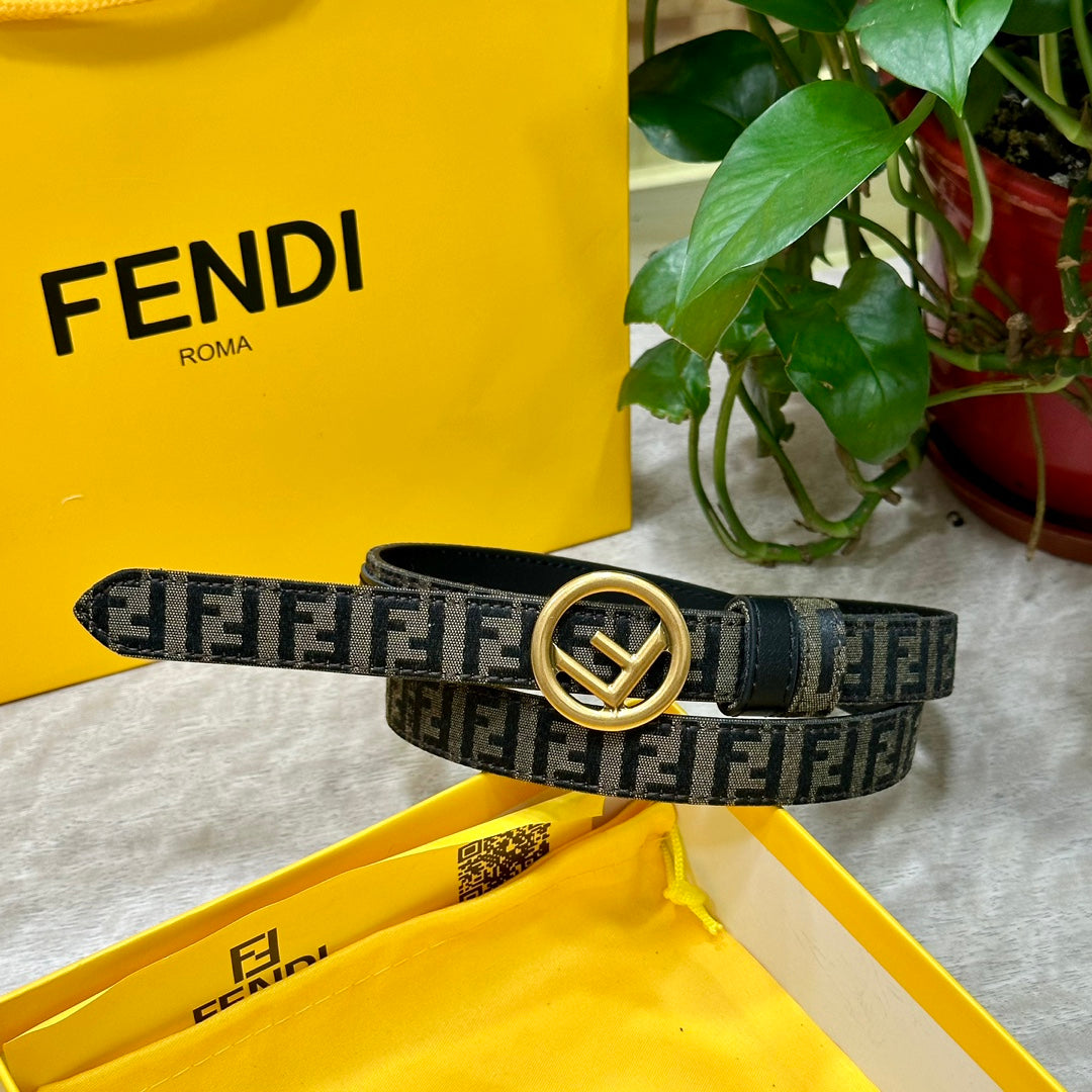 1WF176P Popular High quality belt With full package