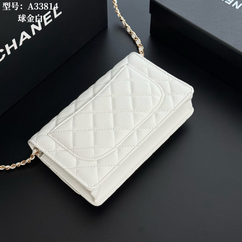 B1X66C17 Popular leather bag