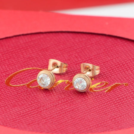 BK17E Popular   Earrings