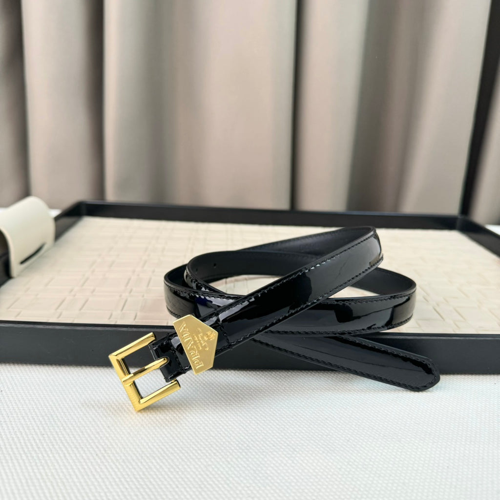14PD29P  Popular    High quality belt With full package
