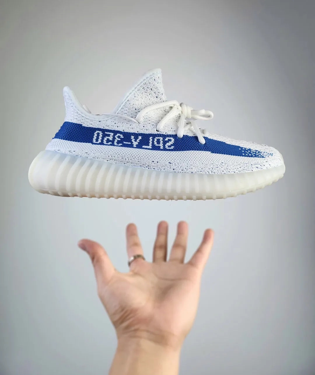 445ZA92Z Popular shoes (No box)