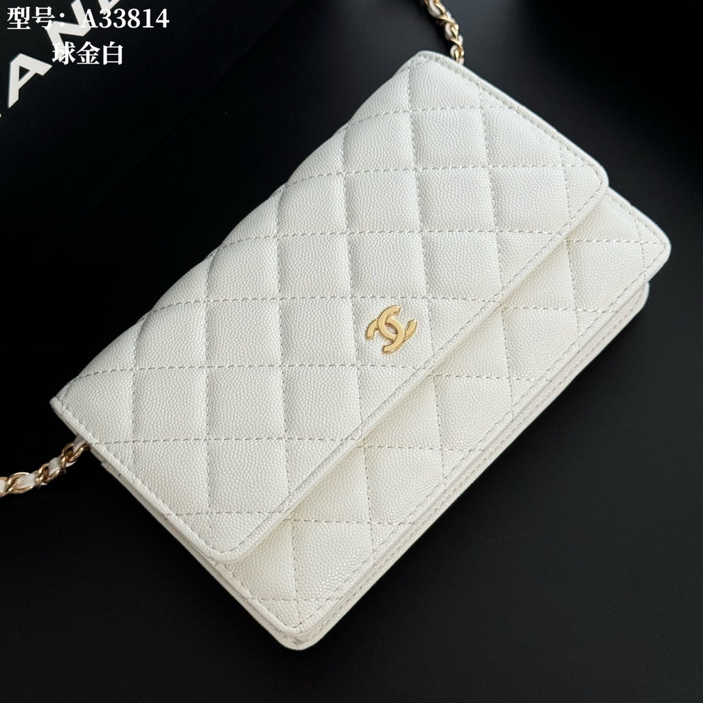B1X66C17 Popular leather bag
