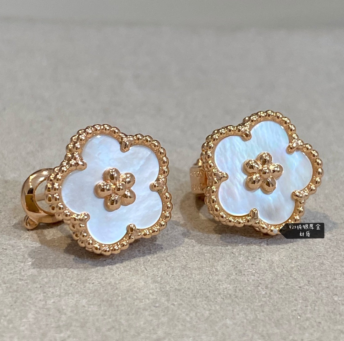 55ZVA21E Popular Earrings