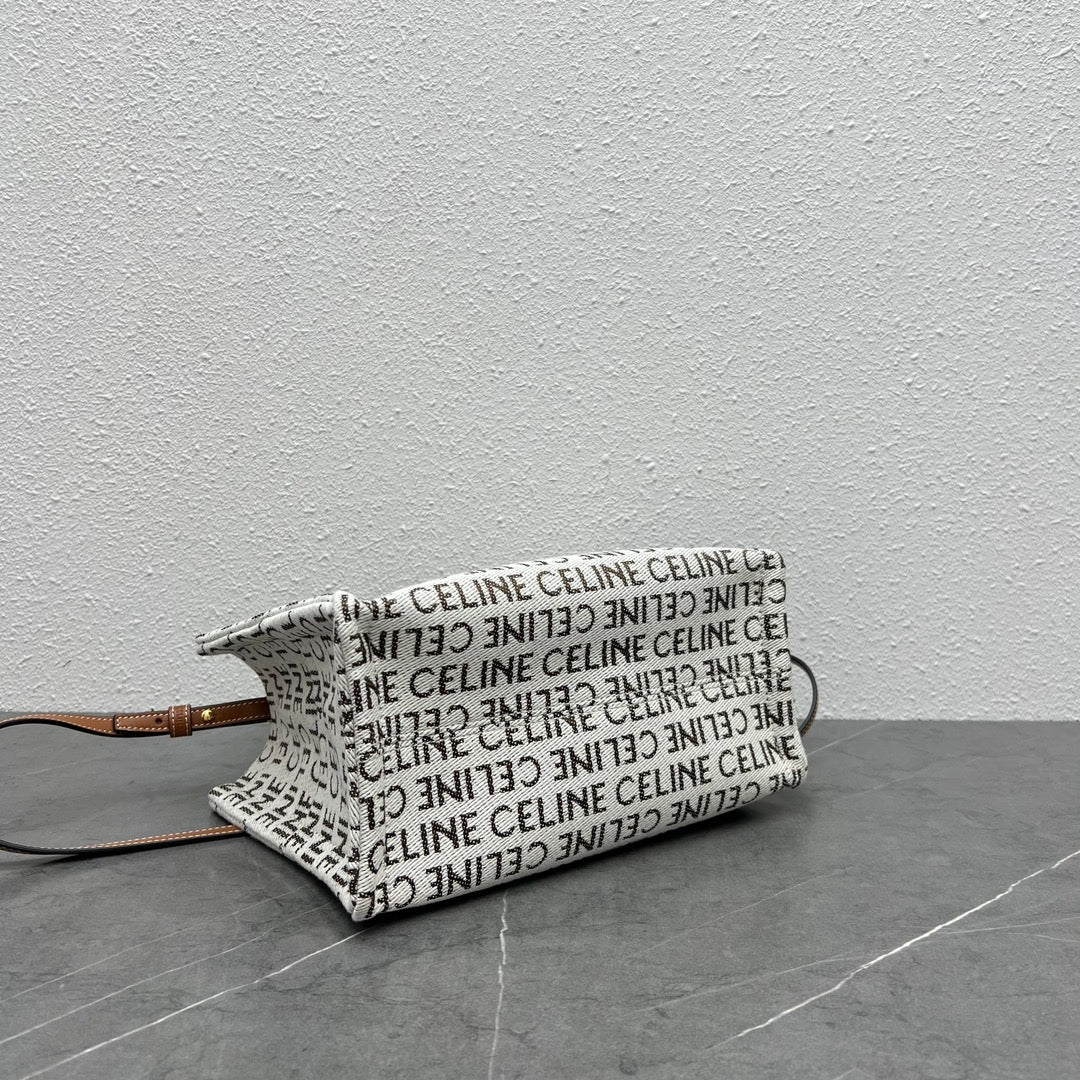 175RCL6B Popular  Canvas handbag