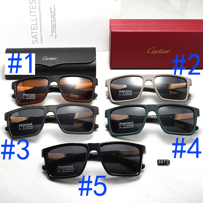 146RK4T Popular Sunglasses