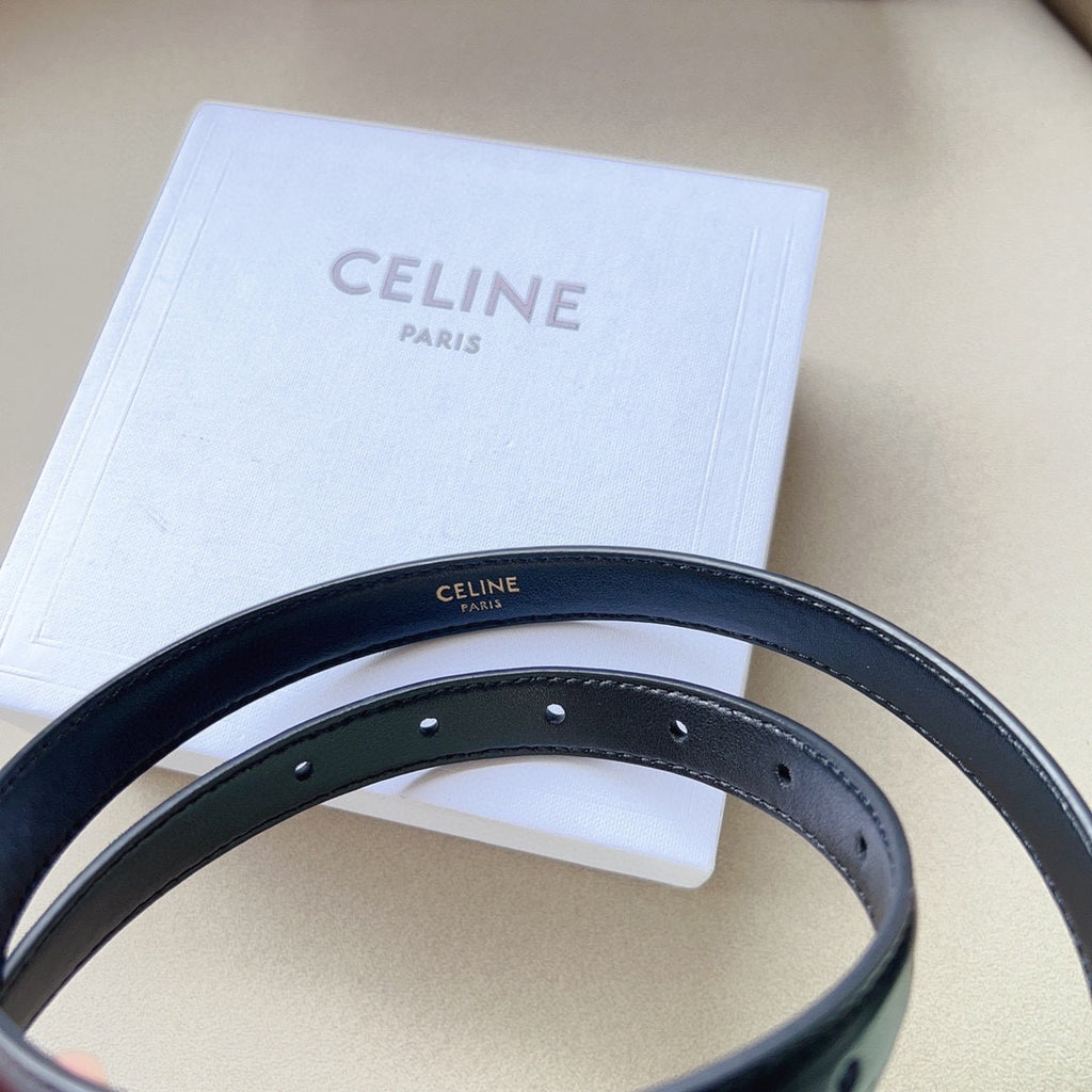 1WN178P Popular High quality belt With full package