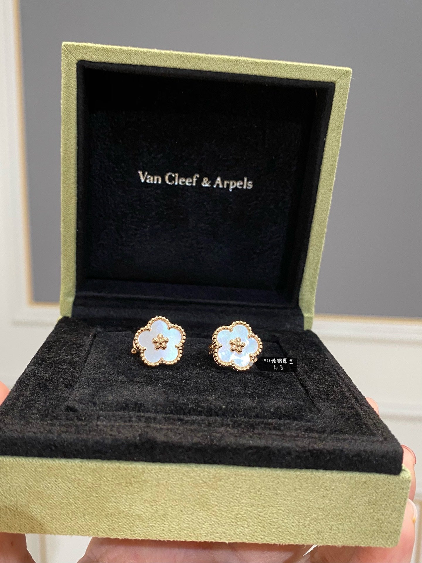 55ZVA21E Popular Earrings