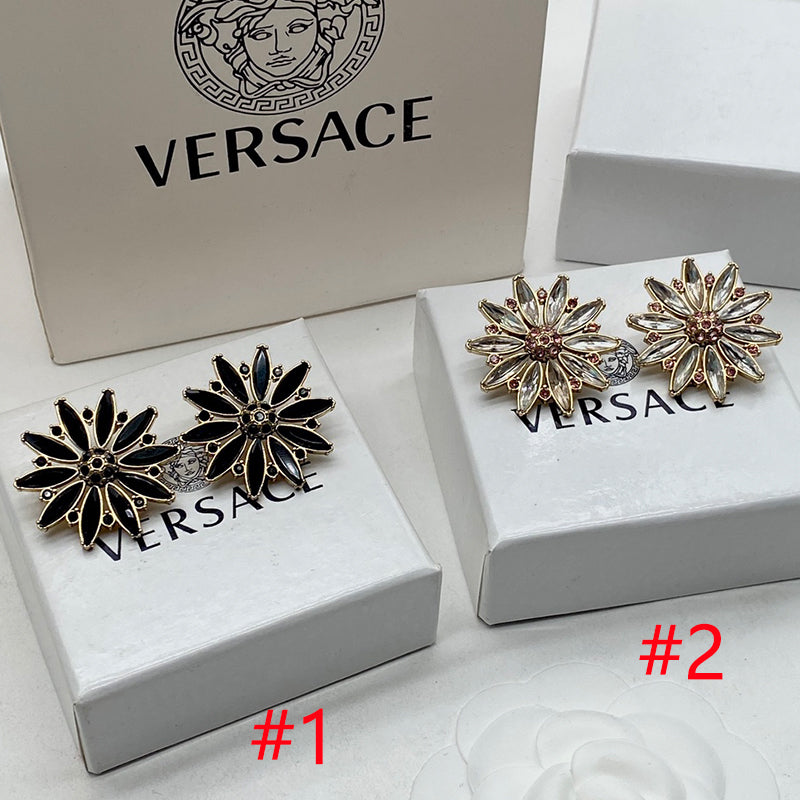 14V538E Popular  Earrings
