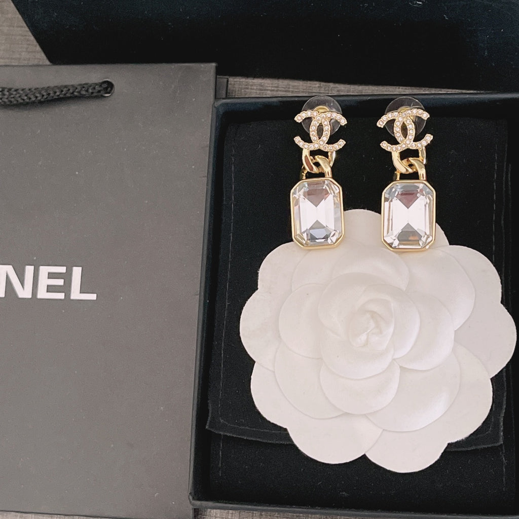 14C341E Popular  Earrings