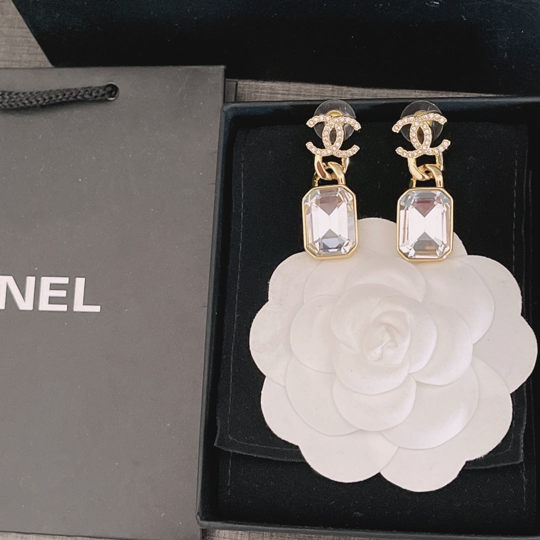 14C341E Popular  Earrings