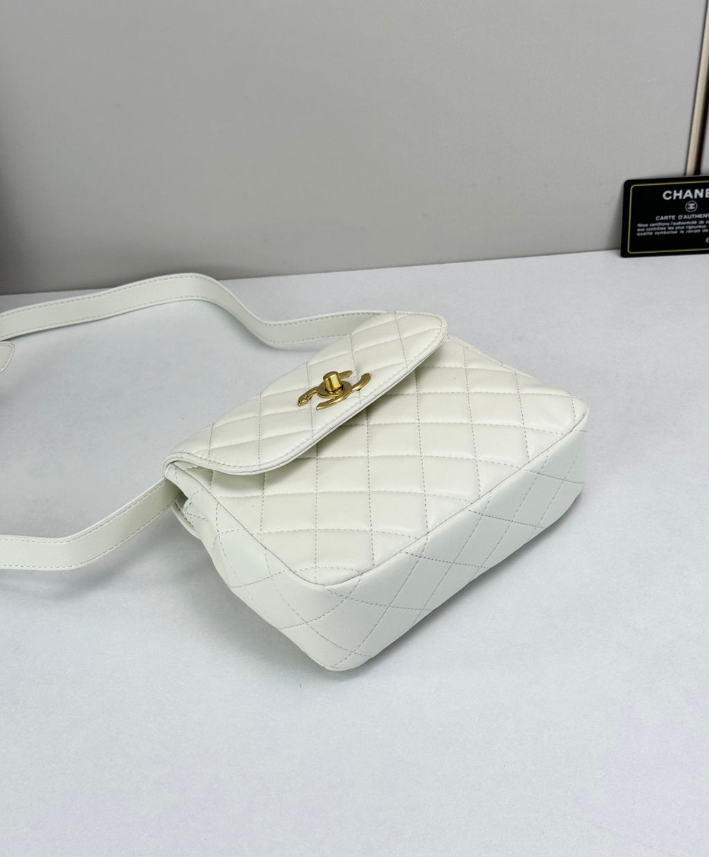15RC63B  Popular  leather bag