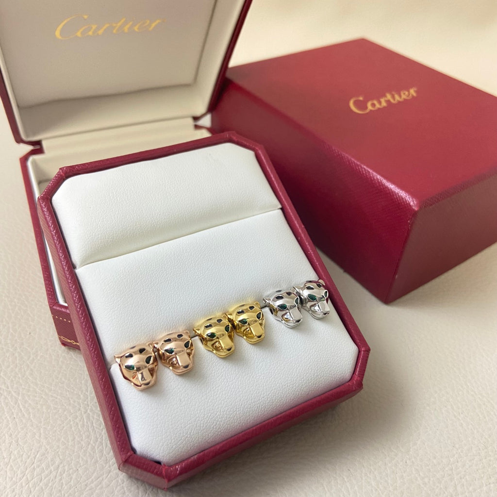 556NK26E Popular Earrings