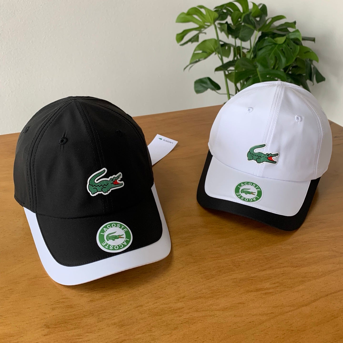 145ZA539M Popular hats