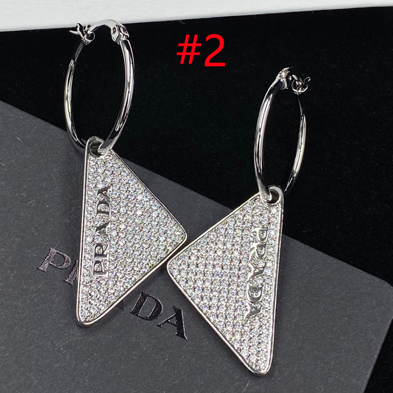 14PD500E Popular Earrings