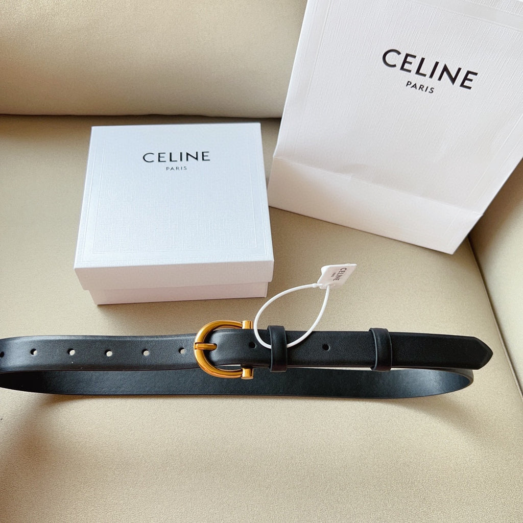 1WN178P Popular High quality belt With full package