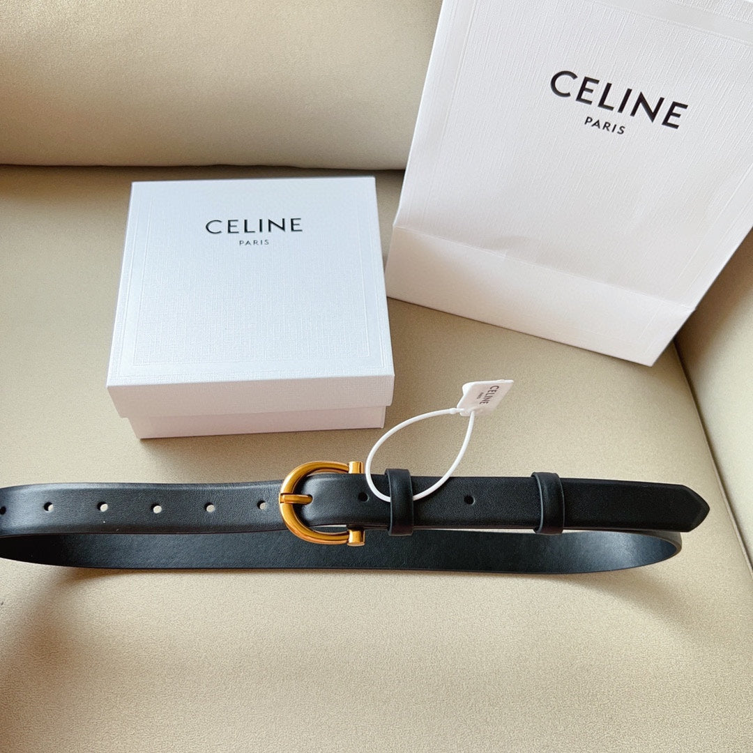1WN178P Popular High quality belt With full package