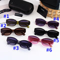 156PC39T Popular Sunglasses